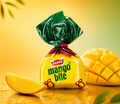 Mango Bites I Pack of 20 I DSJ